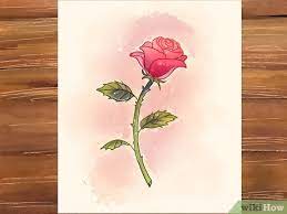 Mawar merah adalah ungkapan cinta. 3 Cara Untuk Menggambar Bunga Mawar Wikihow