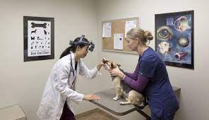 Bbb accredited · aaha accredited · aafp member Bluepearl Pet Hospital 13034 W Rancho Santa Fe Blvd Avondale Az 85392