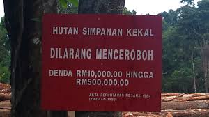 Yuk cari tahu jawabannya dalam artikel finansialku berikut ini. Hutan Simpan Kekal Semakin Menghilang Sebenarnya My