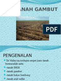 Sphagnum moss di tanah gambut bereaksi dengan enzim sehingga melumpuhkan mereka. Tanah Gambut