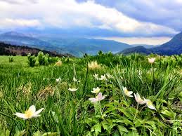 Turistii se pot bucura de privelisti uimitoare, pot manca. Joy Turist Prin Romania 10 Locuri De VÄzut In BuÈteni Cristinajoy Ro Blog De Bucurie Dezvoltare PersonalÄ AutoeducaÈie SÄnÄtate Èi ÈtiinÈÄ