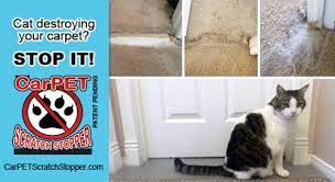 Carpet Scratch Stopper Saves Your Carpets The Conscious Cat