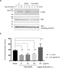 In addition to the lifestyle and home remedies recommendations below, dermatitis treatment includes one or more of the following: The Fab Fragment Of Anti Ige Ce2 Domain Prevents Allergic Reactions Through Interacting With Ige Fceria Complex On Rat Mast Cells Scientific Reports