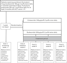 Image result for Inhaled Ciclesonide