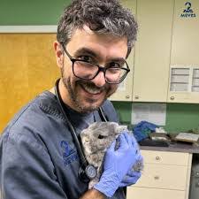 Rebecca Tims's Instagram, Twitter & Facebook