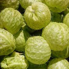 Eilyn Macias Castro On Instagram Algodoncillo Foto De Mi Mama Naturaleza Instagram Instagram Posts Castro