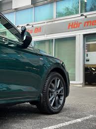 Image result for Azorean Green 2017 Q5