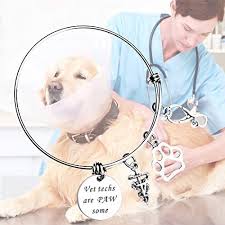 The university is a major collaborative partner of the massachusetts institute of technology. Ecobuty Veterinarian Bracelet Vet Tech Jewelry Veterinarian Graduation Gift Veterinary Technician Gifts Veterinary Gifts For Women Buy Online At Best Price In Uae Amazon Ae