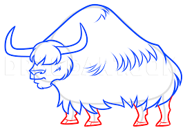 Drawing A Yak Step By Step Step By Step Drawing Guide By Dawn Dragoart Com We all could do with a helping materials: drawing a yak step by step step by