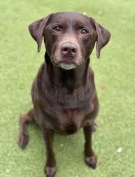 Let's welcome our new members! Thank you for joining our group. Please  familiarize yourself with the About section which contains the group rules  and also all the helpful featured posts  https://www.facebook.com/groups/310936221095298/announcements Carrie