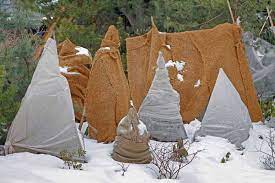 Because fruit trees naturally grow by the edge of forests where the soil is littered. How To Winterize Fruit Trees Gardener S Path