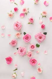 Maybe you would like to learn more about one of these? Fondo Flores Rosas Fondos De Flores Flores Rosadas