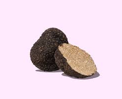 Full to partial sun is the best for its growth. Perigord Black Truffle Taste France Magazine
