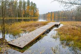See more ideas about city landscape, finland, nature. Finland To Have An Exceptionally Warm November With Temperatures Expected To Reach 10 C