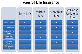 Adjust your insurance policy's coverage amount and premium payments later in life Term Insurance Whole Life Universal Life Index Universal Life Scott Zimmerman