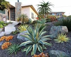 Comment Faire Une Rocaille En Pente Des Plantes Succulentes Et Exotiques Idee Idee Amenagement Jardin Comment Amenager Son Jardin Amenagement Jardin En Pente