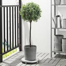 Boysenbar Plant Pot Indoor Outdoor Light Gray Ikea Artificial Potted Plants Plants Artificial Plants