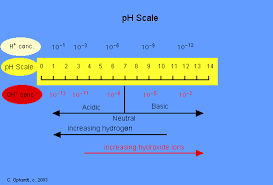 Ph Scale