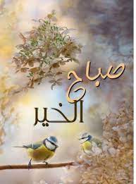 صور صباح الخير رسائل وعبارات جميلة عن الصباح مجلة انا حواء beautiful morning messages morning pictures good morning beautiful quotes