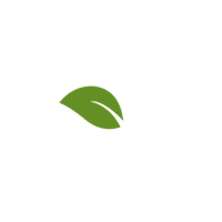 download leaf free png photo images and clipart freepngimg leaf free png photo images and clipart