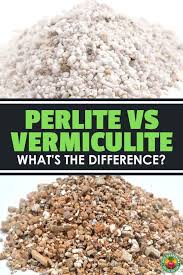 Perlite Vs Vermiculite What S The Difference Epic Gardening Garden Pests Garden Soil Preparation Soil