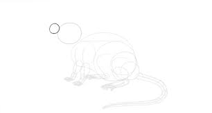 Laden sie lizenzfreie schritt für schritt anleitung, wie man origami zu einem vogel macht stockvektoren 160198368 aus depositphotos' kollektion von millionen erstklassiger stockfotos, vektorgrafiken und illustrationen mit hoher auflösung herunter. Wie Zeichnet Man Eine Maus Design Illustration Website Entwicklung Computerspiele Und Mobile Anwendungen