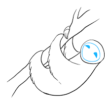 How to draw face in 8 steps? How To Draw A Sloth Really Easy Drawing Tutorial
