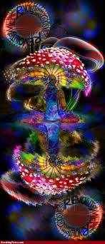 Trippy Mit Bildern Psychedelische Kunst Hippie Kunst Trippy Bilder