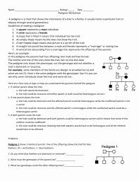 Genetics pedigree worksheet a pedigree is a chart of a person s ancestors that is used to analyze genetic inheritance of certain traits. Human Pedigrees Worksheet Answers Printable Worksheet Template