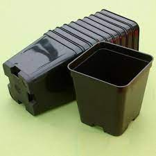Bay hydro is your one stop garden shop. Pot Square 6 X 6 X 7 Black