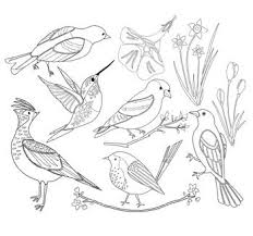 Bird Drawing For Kids Black And White Spring Birds Black And White Clip Art Bird Clip Art Spring Clipart Spring Birds Bird Drawing For Kids Bird Drawings