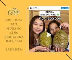 Yang sudah terbukti adaptif di indonesia, kualitas rasa buah dan daging durian pun hampir sama dengan di malaysia. Golden Leaf Home Facebook