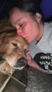 Coping with the loss of a beloved pet to cancer