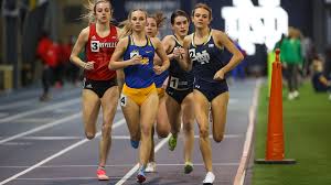 Emily studied at the university of manchester between the years 2009 and 2012. Emily Brown Track Field Pitt Panthers H2p