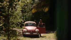 CARRION (2020) Review and overview