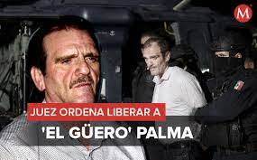 El guero palmael guero palma. 5cjtiohbj4zhxm