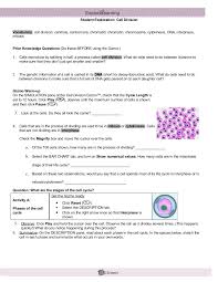 Some of the worksheets for this concept are balancing chemical equations gizmo work answers, student exploration dichotomous keys gizmo answer key, unit conversion work with answer key, student exploration evolution natural and artificial, name adverbs test with spies, gizmo exploration answer key, student exploration stoichiometry. Student Exploration Human Karyotyping Karyotyping Activity