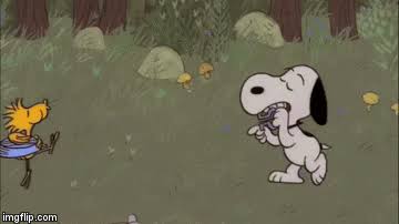 Snoopy come home.L