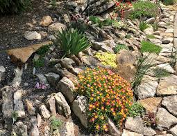 Plants that are smaller in size should be planted at the base of the slope. Rock And Crevice Garden North Carolina Extension Gardener Plant Toolbox