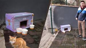 Kisin Sokak Kedileri Icin Kedi Evi Yaptik Youtube