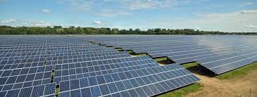Baywa R E To Build First Subsidy Free Solar Park In Germany Solar Business Hub Free Solar Solar Panels Solar