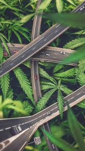 Sick weed wallpaper for iphone, stoner swag. Weed Route Iphone Wallpaper Iphone Wallpapers Iphone Wallpapers