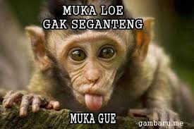 Hasil gambar untuk kumpulan meme perang gambar