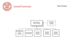 Real Estate Organization Chart Facilities And Campus Services