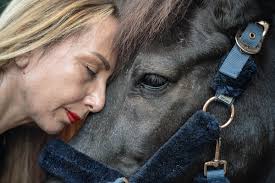 Introducing Our Stories of Compassion & Change