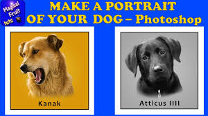 Follow along with today's photoshop tutorial to turn your pet into a renaissance masterpiece. Photoshop Make A Simple Portrait Of Your Dog From A Photo Youtube