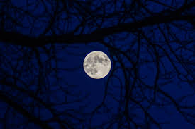 A full moon on halloween occurs roughly once every 19 years—a pattern known as the metonic cycle. Full Blue Moon To Rise Over Ohio On Halloween 2020