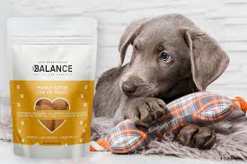 Holistic + natural food & supplies for pets. The Ultimate Guide On Using Cbd For Pets Here Are The Best Cbd Dog Treats To Buy In 2020 Chron Events The Austin Chronicle