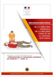 Check spelling or type a new query. Secourisme Net Recommandations Psc1 Decembre 2016