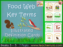 The relationship between all the living things in a particular area, when thinking about how…. Food Chains And Food Webs Definition Cards Teaching Resources